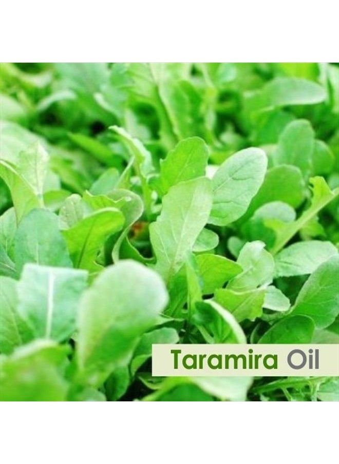 Salvia - Taramira (Eruca Sativa) Essential Oil 100% Pure & Natural - Undiluted Uncut Oil - Use for Aromatherapy - Therapeutic Grade - 15ML - Image 1
