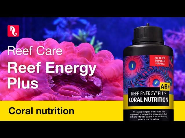 Red Sea Reef Energy Plus 250ml (AB+) All In One Coral Food for Saltwater Aquarium Marine Reef Tanks | Food for Soft, LPS, SPS, and Non-Photosynthetic Corals - Image 4