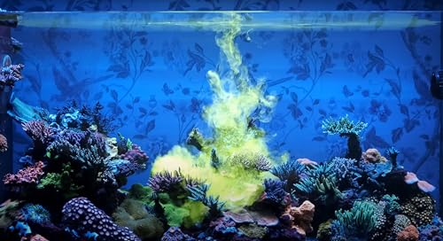 Red Sea Reef Energy Plus 250ml (AB+) All In One Coral Food for Saltwater Aquarium Marine Reef Tanks | Food for Soft, LPS, SPS, and Non-Photosynthetic Corals - Image 5