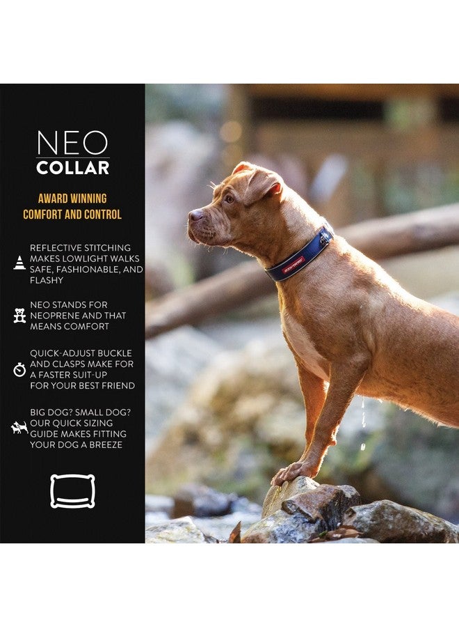 EzyDog Neo Dog Collar - Waterproof & Reflective Dog Collar with Soft Padded Neoprene for Comfort & Durable Nylon - Features Quick Release Buckle and Built-in ID Clip (Large, Black) - Image 2