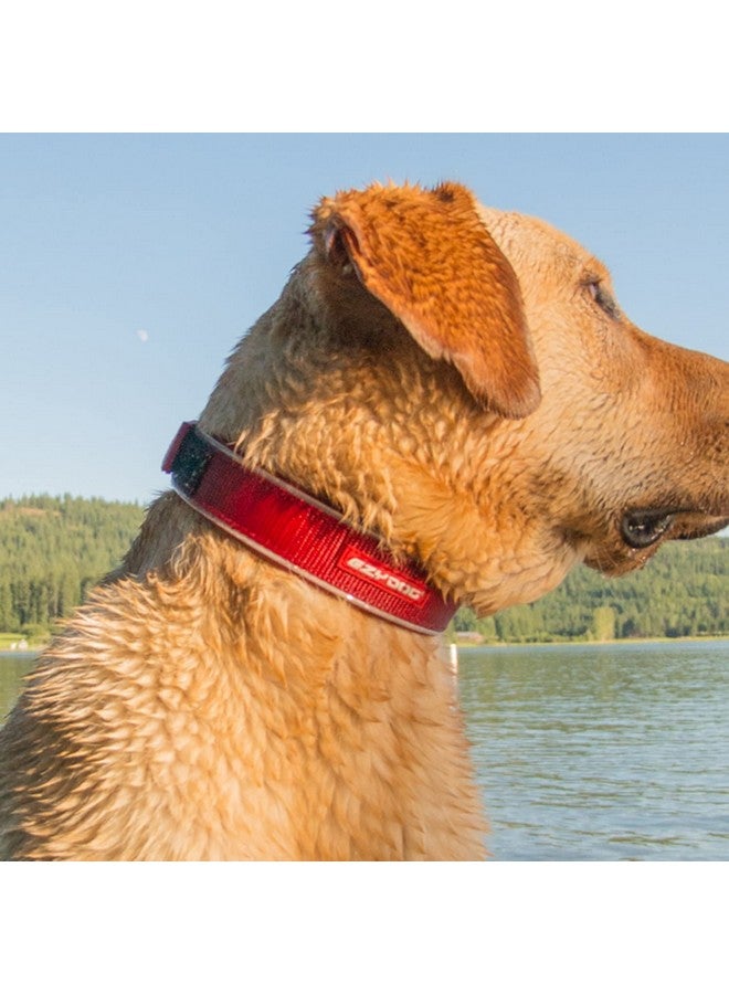 EzyDog Neo Dog Collar - Waterproof & Reflective Dog Collar with Soft Padded Neoprene for Comfort & Durable Nylon - Features Quick Release Buckle and Built-in ID Clip (Large, Black) - Image 4