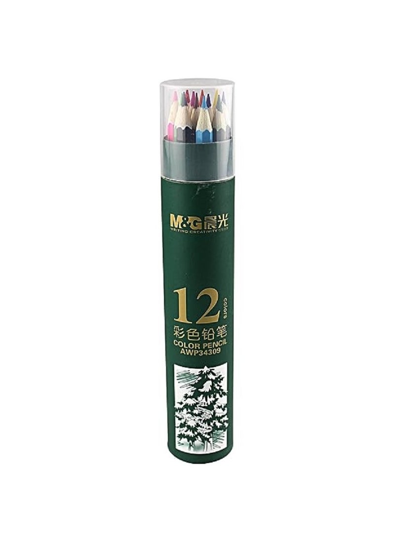 M&G Wooden Color Pencil -12 colors in a cylindrical cardboard box  - Image 2