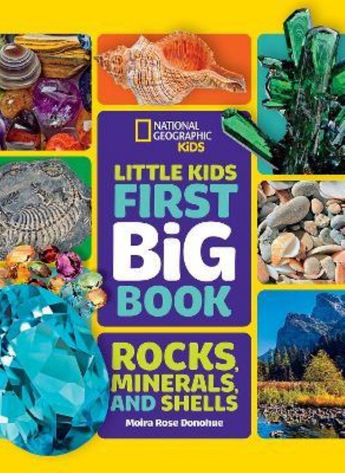 LITTLE KIDS FIRST BIG BK OF ROCKS MINERA 