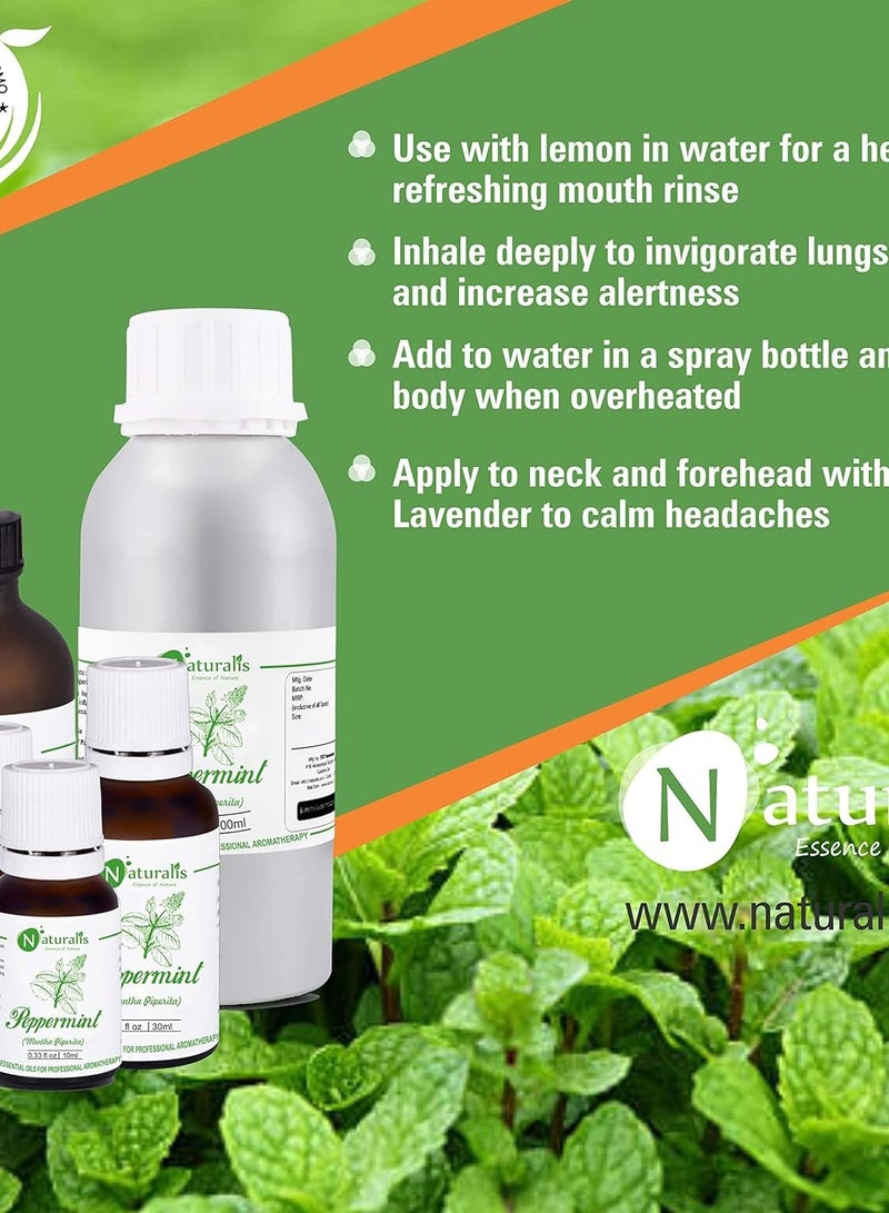 نيتشوراليس Naturalis Essence of Nature زيت النعناع العطري 100% درجة علاجية نقية وطبيعية غير مخففة لنمو الشعر والبشرة والوجه والبرد والاحتقان والألم... - Image 5