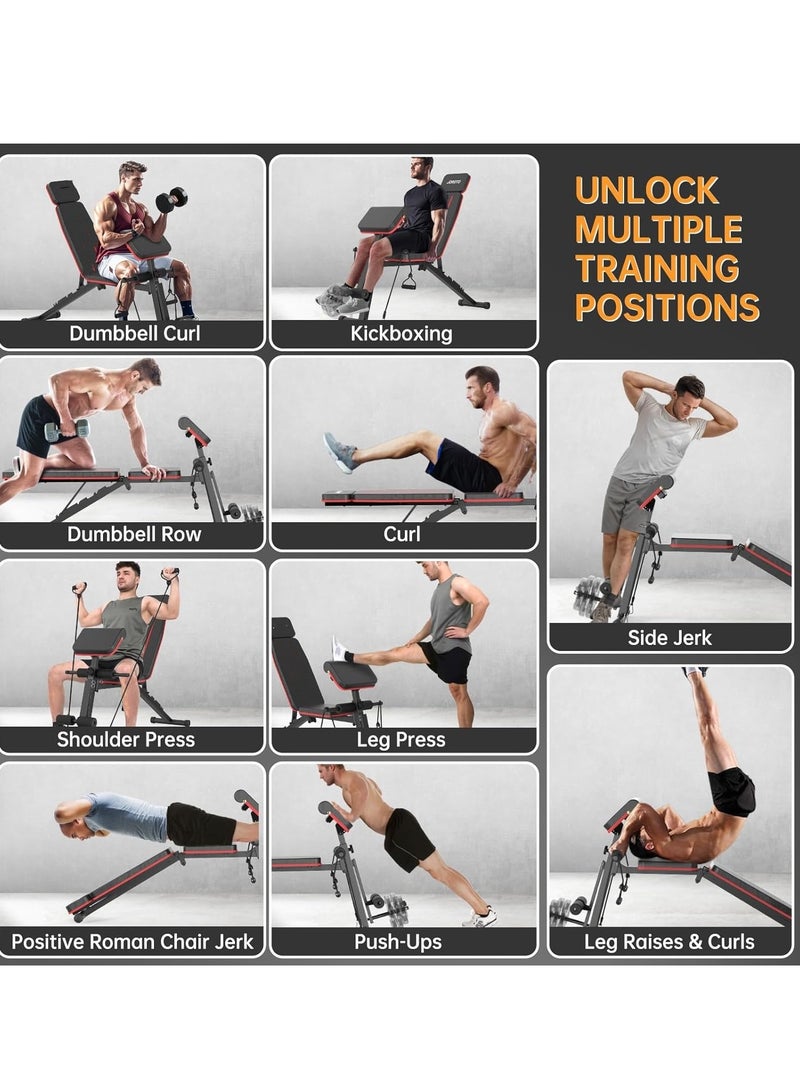 10 in 1 Folding and adjustable multi-use exercise and weight lifting bench, Knight model with adjustable telescopic headrest