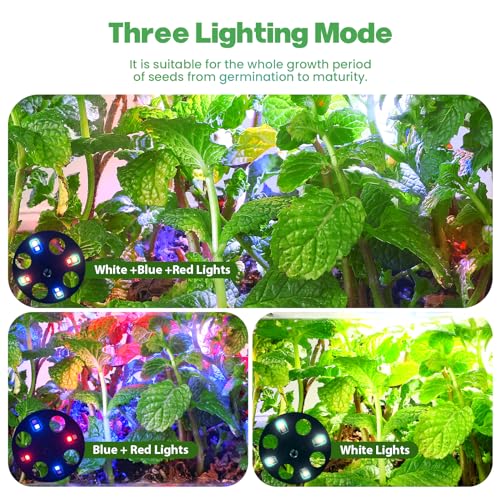 Adawook Seed Starter Trays with Grow Lights, 72 Cells Seed Starter Kit with Lights, 3 Lighting Mode, 4 Timing Set, Germination Kit for Seed Starting Trays, Seedling Starter with High Humidity Control Domes - Image 2