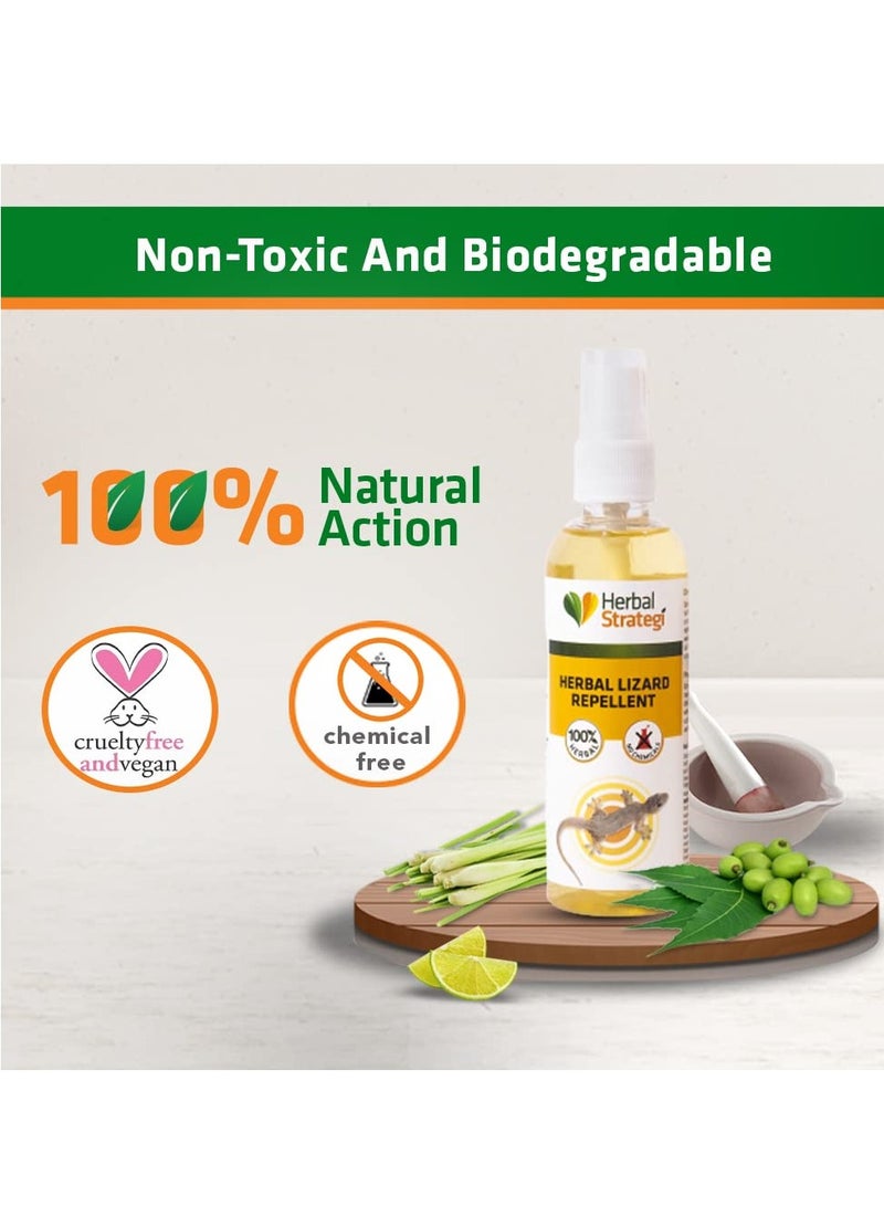 Herbal Strategi Herbal Strategi Lizard Repellent Spray - 100ml | Smarter way to shuu Lizards away | 100% Herbal and Chemical free | Baby and Pet safe | Certified Ayurvedic | Effective on all types of Lizards - Image 4