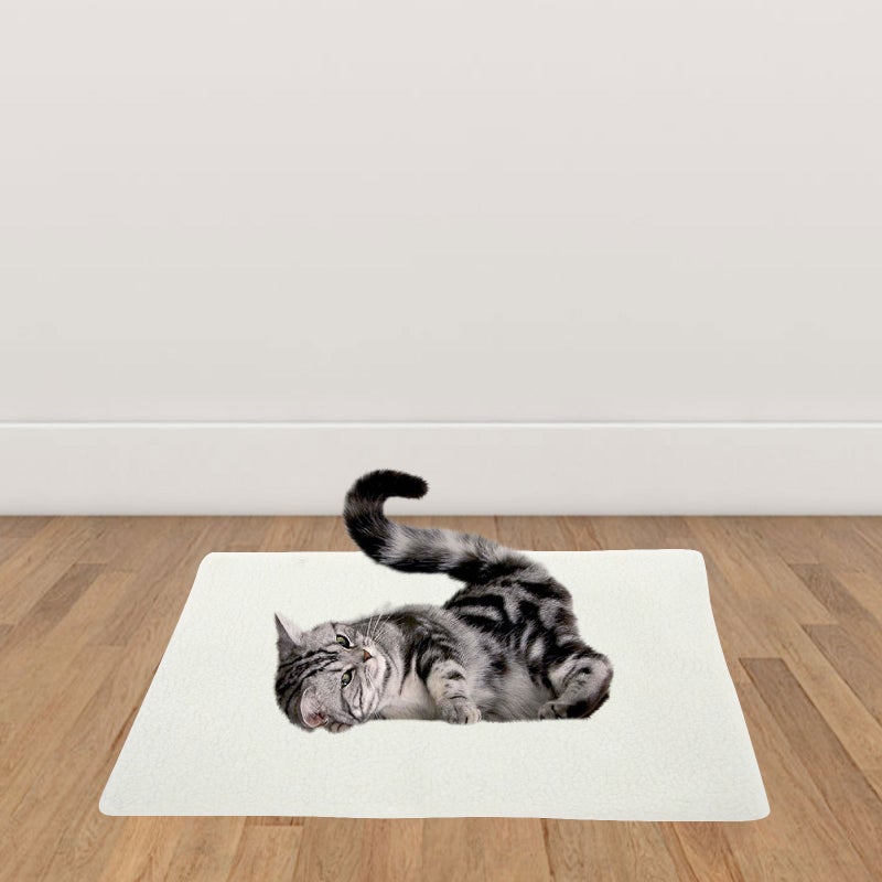 5pcs Winter Self Heating Pad Indoor Pat Mat Pet Warming Pad Puppy Sleeping Blanket for Winter - Image 4