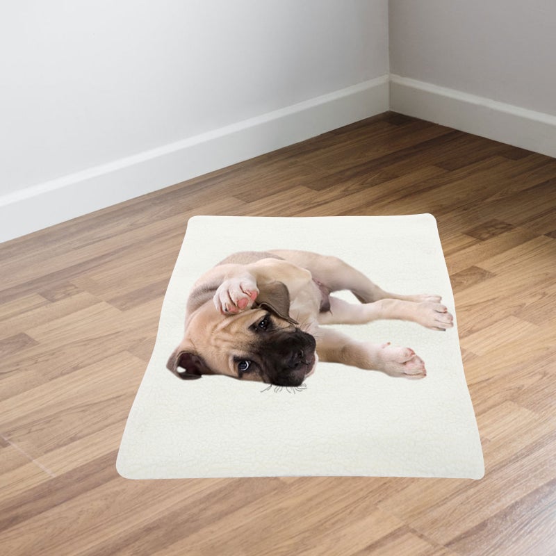 5pcs Winter Self Heating Pad Indoor Pat Mat Pet Warming Pad Puppy Sleeping Blanket for Winter - Image 2
