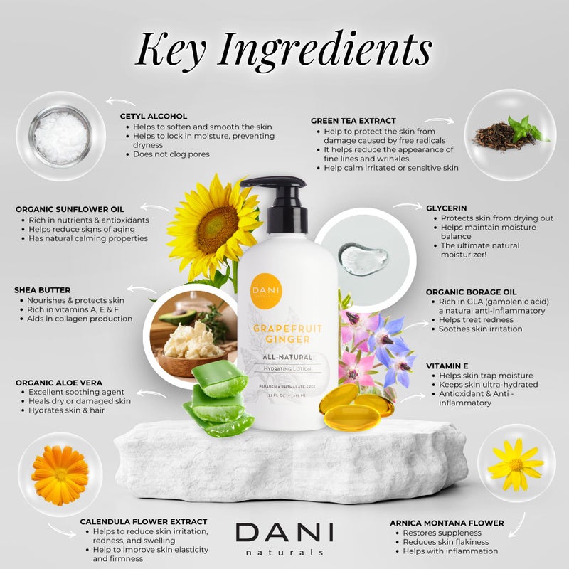 DANI Naturals Hand & Body Lotion - Grapefruit Ginger, Hydrating Lotion with Aloe Vera, Vitamin E & Shea Butter, Moisturizing for All Skin Types, Paraben-Free, 12 Oz - Image 3
