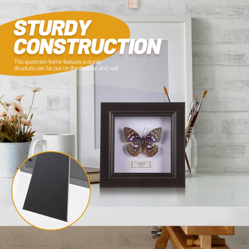 2pcs Simulated Butterfly Specimen Handmade Specimen Decor Wall Hanging Specimen Wall Decoration - Image 5