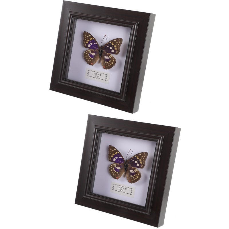 2pcs Simulated Butterfly Specimen Handmade Specimen Decor Wall Hanging Specimen Wall Decoration - Image 1