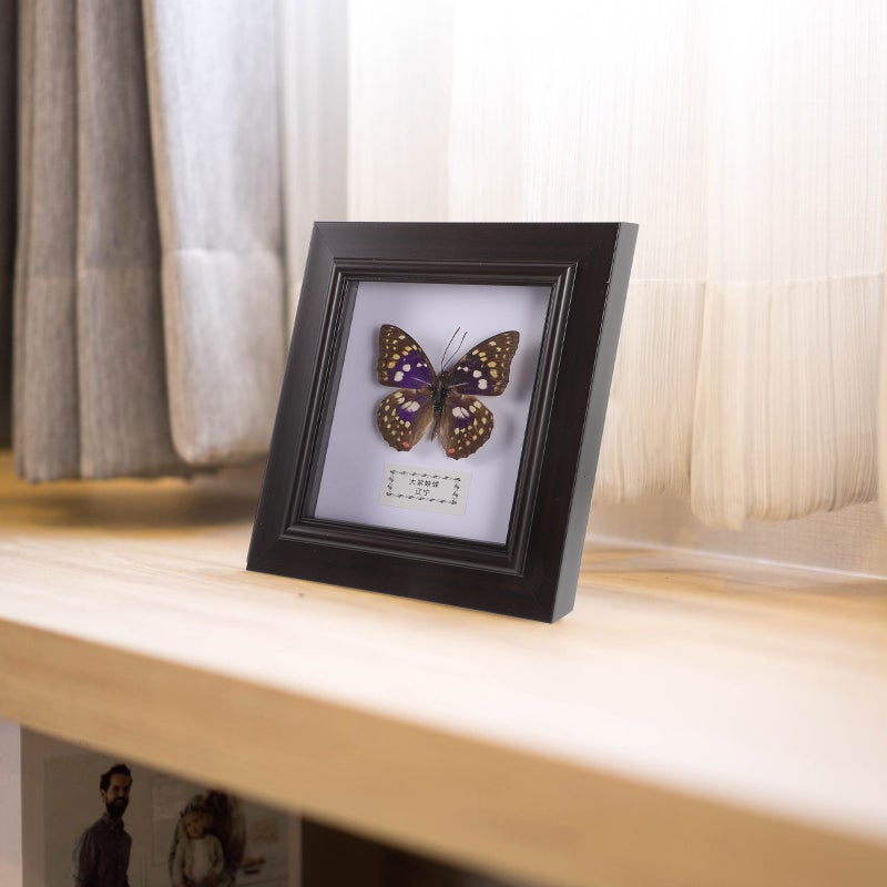 2pcs Simulated Butterfly Specimen Handmade Specimen Decor Wall Hanging Specimen Wall Decoration - Image 4
