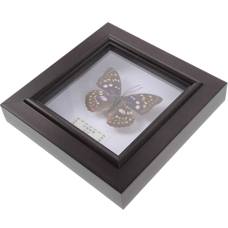 2pcs Simulated Butterfly Specimen Handmade Specimen Decor Wall Hanging Specimen Wall Decoration - Image 3
