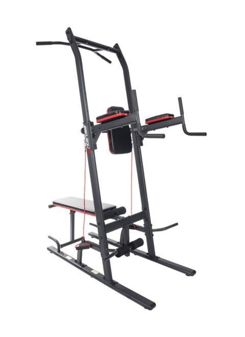 (MS530) ENTERCISE POWER TOWER DIP STATION