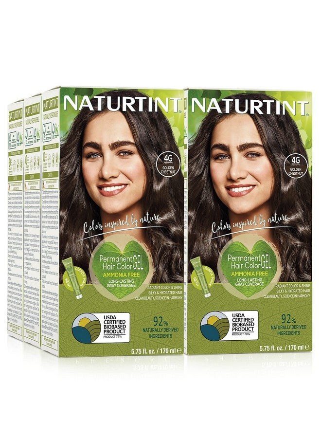 NATURTINT Permanent Hair Color 4G Golden Chestnut (Pack Of 6) Ammonia Free Vegan Cruelty Free Up To 100% Gray Coverage Long Lasting Results  - Image 2