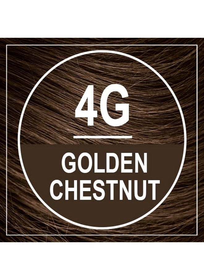 NATURTINT Permanent Hair Color 4G Golden Chestnut (Pack Of 6) Ammonia Free Vegan Cruelty Free Up To 100% Gray Coverage Long Lasting Results  - Image 3