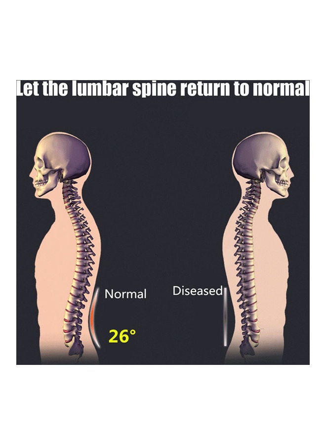 إسكدنيا Back Massager Stretcher Fitness Equipment 40X4X26cm - Image 5