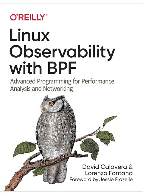 Linux Observability with Bpf: Advanced Programming for Performance Analysis and Networking