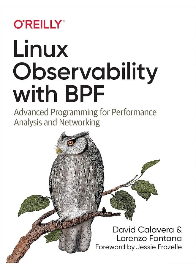 Linux Observability with Bpf: Advanced Programming for Performance Analysis and Networking 