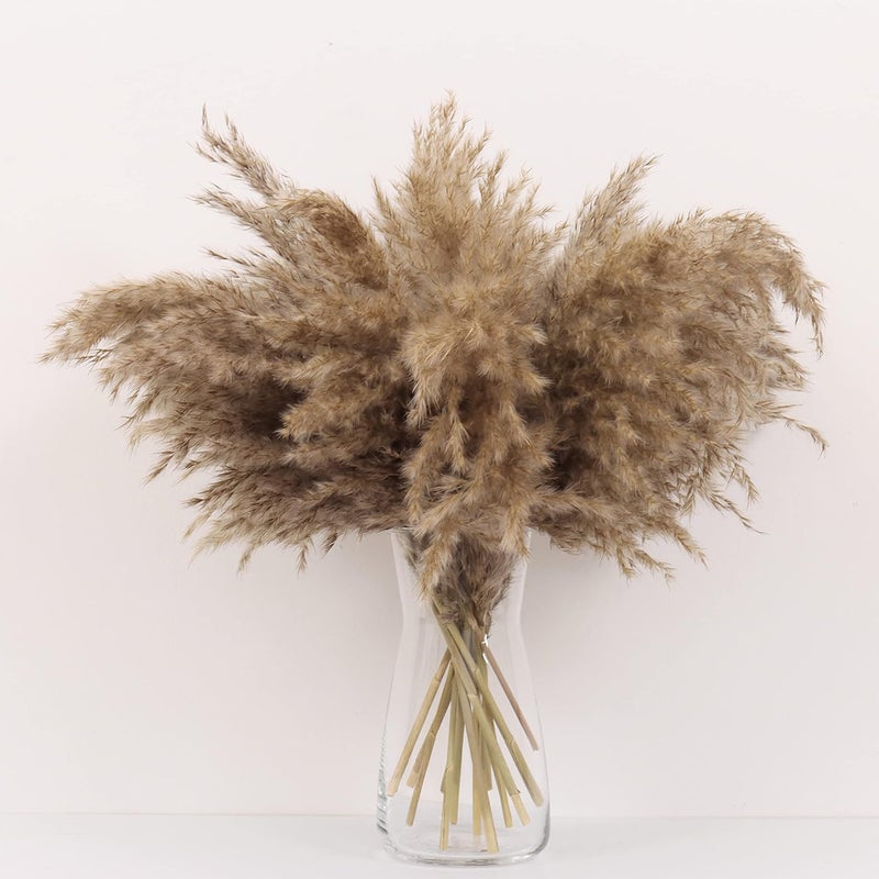Flurry Natural Dried Pampas Grass Decor 15 Pcs 18 Flurry Brown Pampas Grass Bouquet Natural Dried Pampas Grass for Flower Arrangements Boho Home Decor No Include Vase