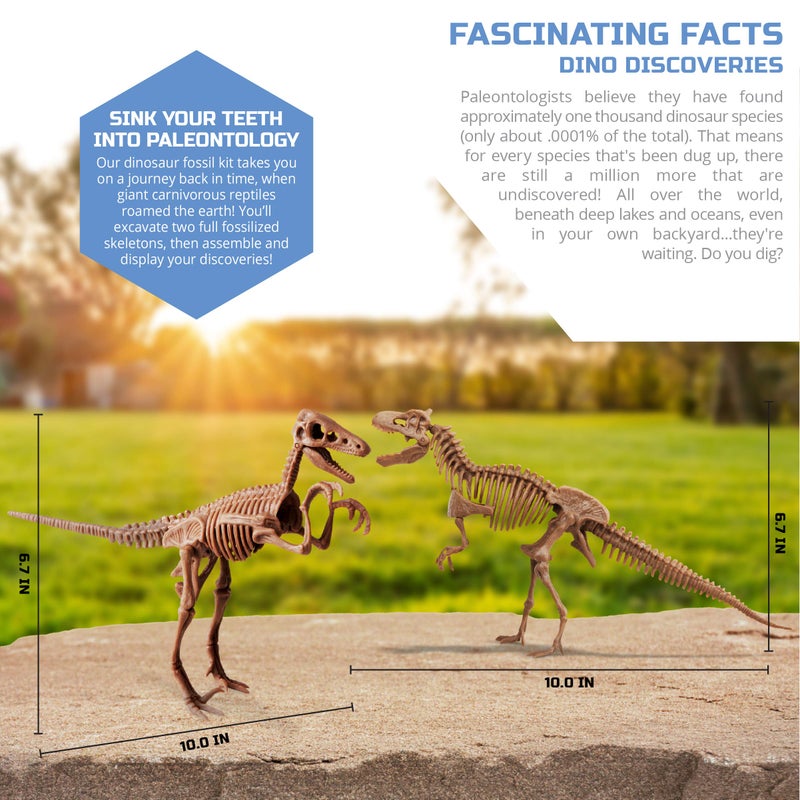 Discovery Kids Discovery #MINDBLOWN Dinosaur Fossil Dig Excavation Kit, 15-Piece T-Rex & 10-Piece Velociraptor, 3D Skeleton Puzzle Display Models, Includes Tools & Safety Glasses, Jurassic Dino Toy for Kids - Image 5