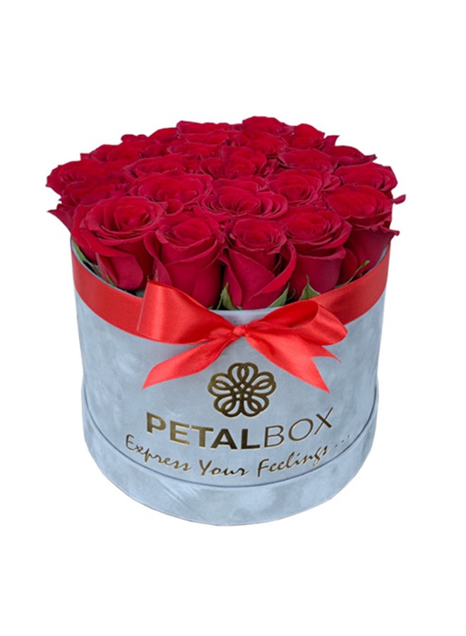 18 To 20 Fresh Red Roses,Premium Grey Velvet Box