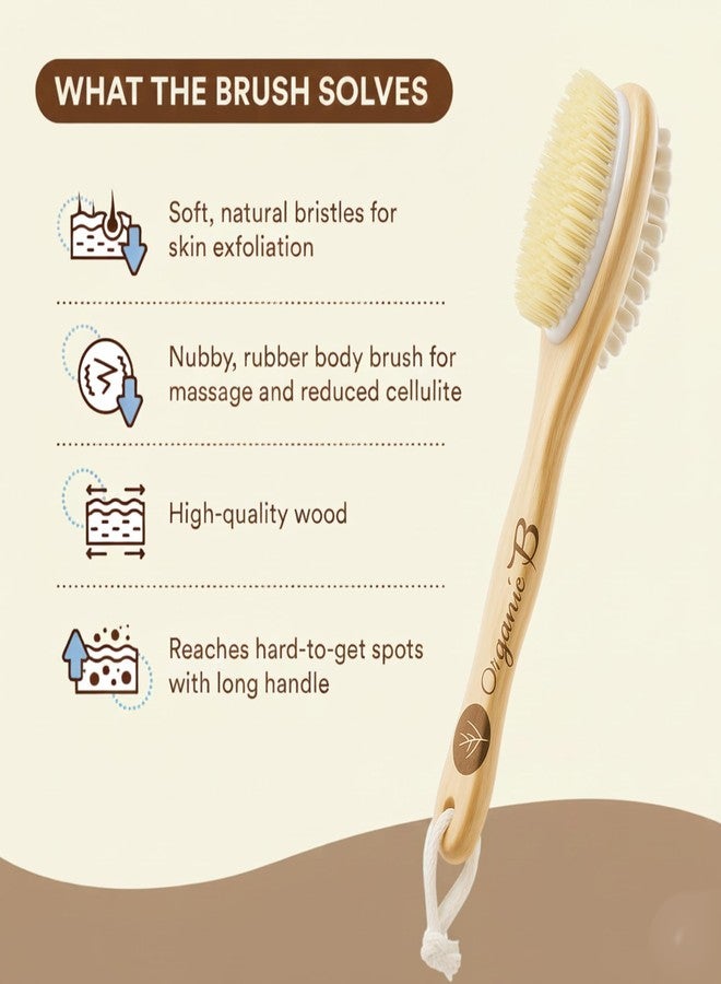 Organic B 2-in-1 Long Handle Body Brush - Back Scrubber for Bathing, Dry Brushing Body Brush, Natural Soft Bristles for Skin Exfoliation, Stimulates Circulation, Reduces Cellulite - Image 3