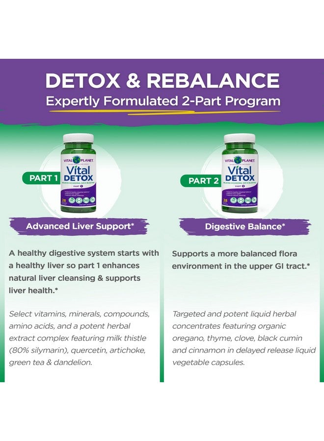 Vital Planet - Vital Detox with Milk Thistle, Quercetin, Alpha Lipoic Acid, Choline, and Herbs, for Occasional Gas and Bloating, Supports Healthy Intestinal Balance, 2-Part 14 Day Kit, 56 Capsules - Image 5