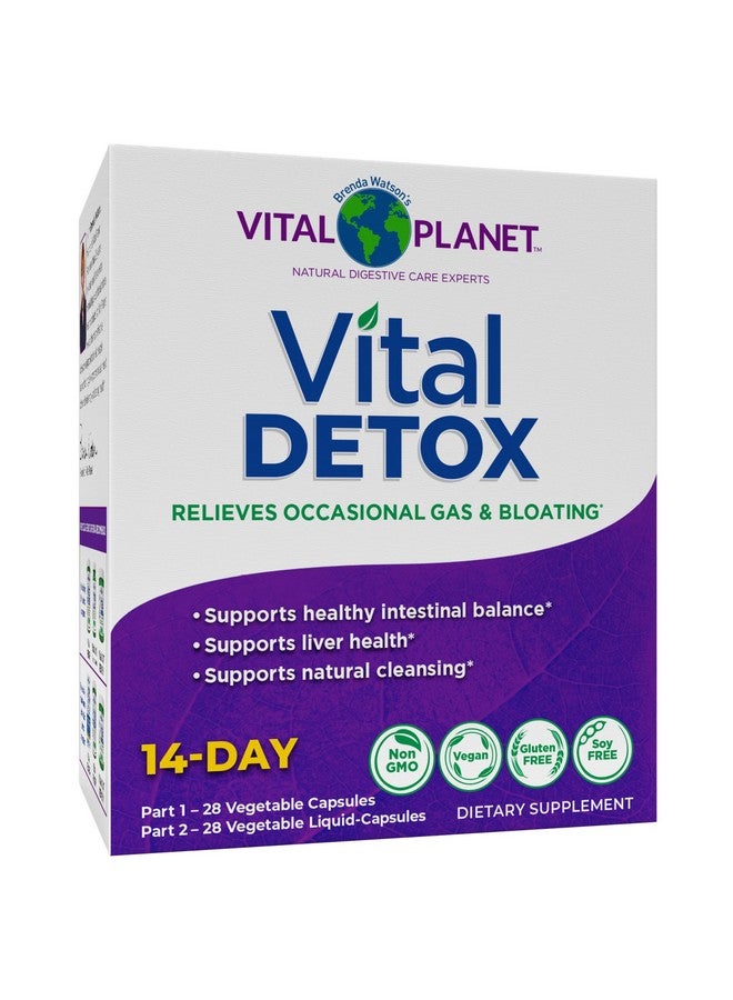 Vital Planet - Vital Detox with Milk Thistle, Quercetin, Alpha Lipoic Acid, Choline, and Herbs, for Occasional Gas and Bloating, Supports Healthy Intestinal Balance, 2-Part 14 Day Kit, 56 Capsules - Image 1