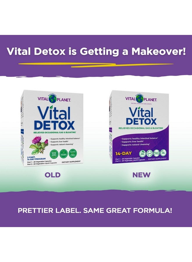 Vital Planet - Vital Detox with Milk Thistle, Quercetin, Alpha Lipoic Acid, Choline, and Herbs, for Occasional Gas and Bloating, Supports Healthy Intestinal Balance, 2-Part 14 Day Kit, 56 Capsules - Image 3