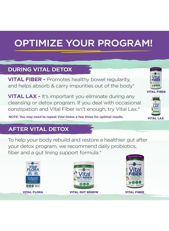 Vital Planet - Vital Detox with Milk Thistle, Quercetin, Alpha Lipoic Acid, Choline, and Herbs, for Occasional Gas and Bloating, Supports Healthy Intestinal Balance, 2-Part 14 Day Kit, 56 Capsules - Image 4