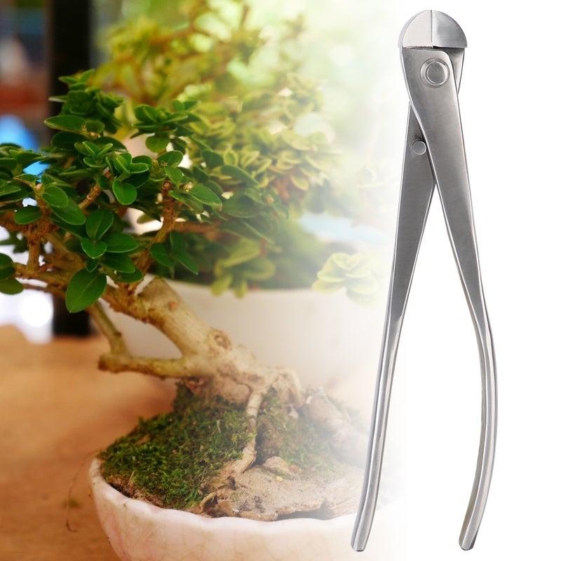 210mm Round Edge Stainless Steel Garden Pruning Shears Branches Cutter Scissors Bonsai Tool - Image 5