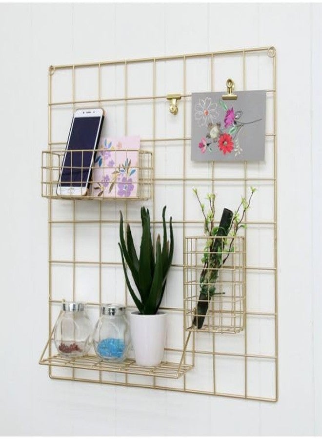 Franklite Steel Grid Photo Frame for Wall Clip Holder Photo Frame,Multi Functional Creative Mesh Wall GridIron hanging frame for home Decoration,wall,collage photo, key,1pcs Frame (30&30cm Gold) Metal Steel - Image 1