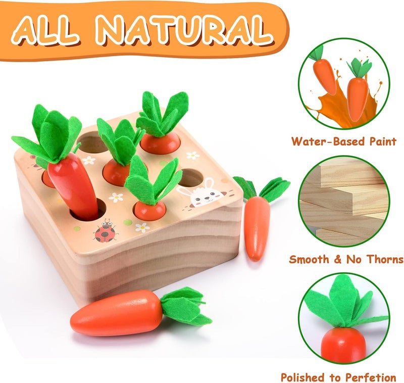XPIY Montessori Toys for Babies 6-12 Months, Educational Shape Sorting Toys for Toddler Fine Motor Skill Development, Carrots Harvest Wooden Puzzle, Gift for Kids First Birthday - Image 4