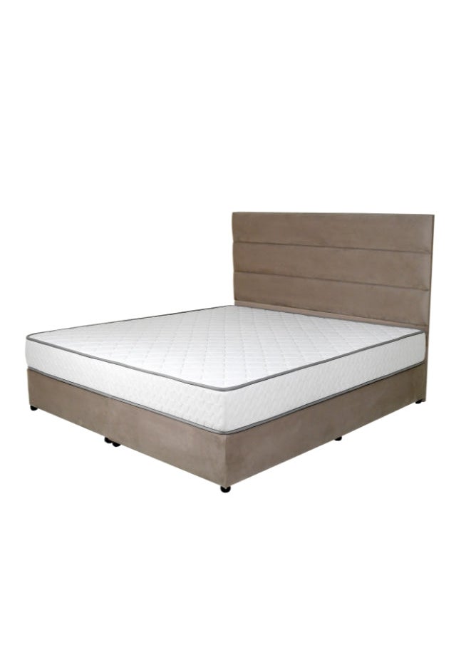 Bed and Mattress Zone Serenity Upholstered Bed 190 X 90 Single Size Muted Pink Color  - Image 2