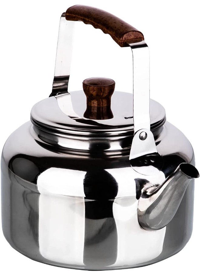 Bister - Tea Kettle with Wooden Backlite Handle (3 Liter) | Wide Mouth with Anti-Leakage Cap Travel Mug | Silver - Image 1