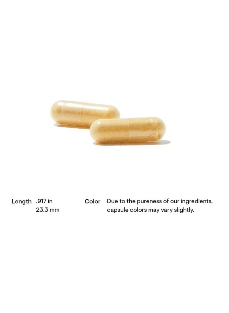 Basic B Complex - 60 Capsules Dietary Supplement 60 Capsules