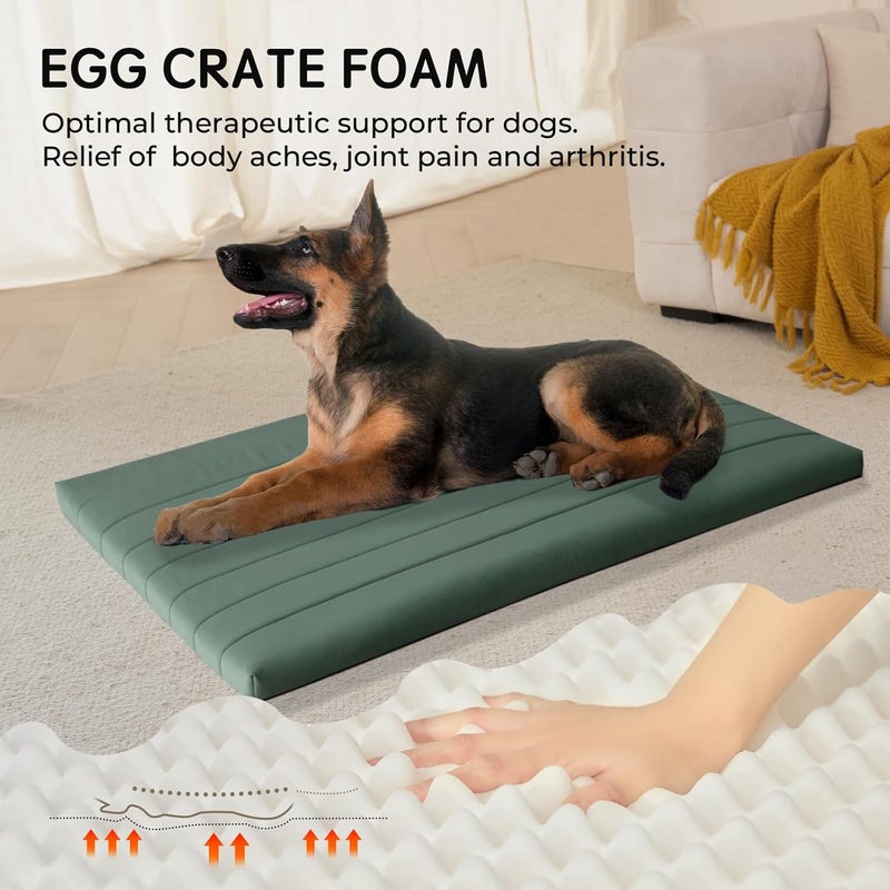 Balance Dog Crate Bed, Orthopedic Dog Bed Pad with Waterproof Liner, Washable Crate Foam Pet Mat for Large, Medium, Puppy Dogs Breeds, Mint Leaf, 48"x30"x2" - Image 2