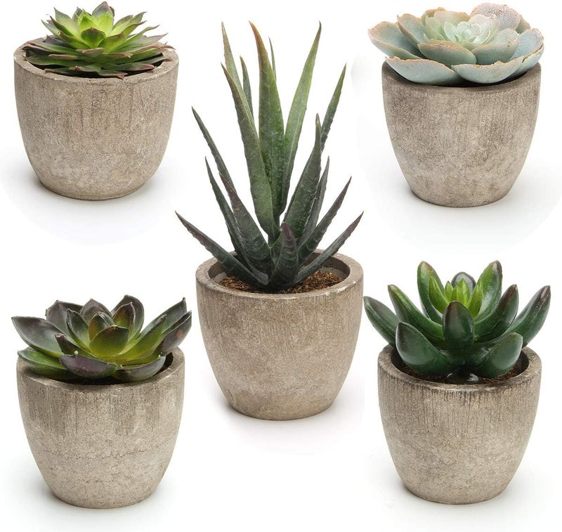 Coitak Artificial Succulent Plants Potted, Assorted Decorative Faux Succulent Potted Fake Cactus Cacti Plants with Pots, Set of 5 - Image 1