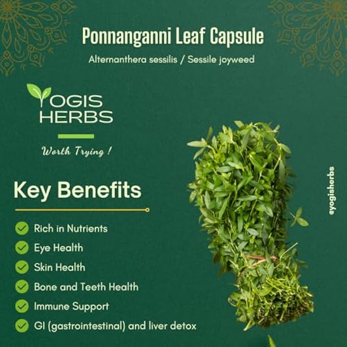YOGIS HERBS Ponnanganni Capsules (Joyweed/Alternanthera sessilis) – 100% Natural Herbal Supplement for Hair Health, Eye Care, Skin Glow, and Detox Support – 90 Veg Capsules - Image 5