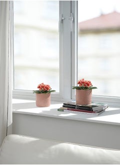 Generic FEJKA Artificial potted plant, in/outdoor/primula orange, 9 cm  - Image 2