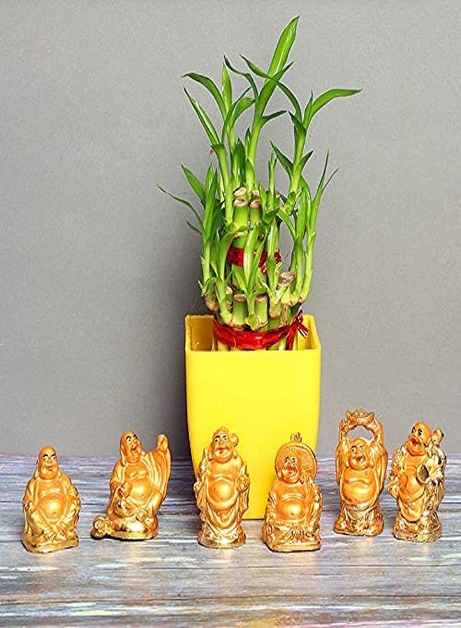KIRINVEDA Feng Shui Golden Buddha Laughing for Health and Wealth Happiness Showpiece Gift Statue (Golden) | Set of 6 - Image 3