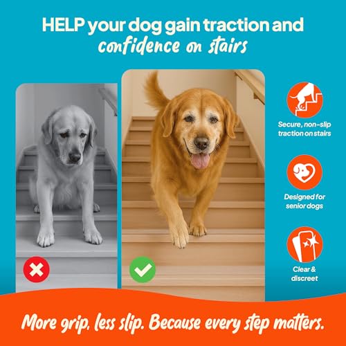 Steady Paws Clear Anti-Slip Stair Treads – Transparent Adhesive Stair Strips for Dogs, Cats, & Elderly Pets, Non-Slip Step Traction Pads for Pet Safety, Easy to Apply & Remove – 15 Pack (24" x 6") - Image 3