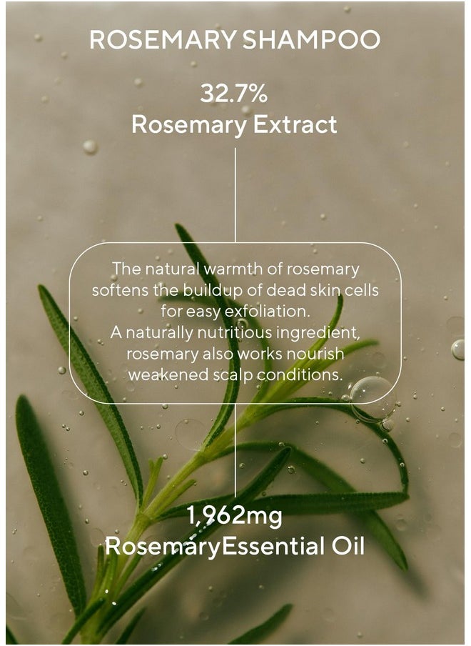 أروماتيكا مجموعة شامبو وبلسم AROMATICA Rosemary Scalp Scalp 13.53 أونصة سائلة لكل منهما - مجموعة هدايا للعناية بالشعر النباتي بزيت إكليل الجبل. شامبو وبلسم خالي من الكبريتات لنمو الشعر  - Image 3