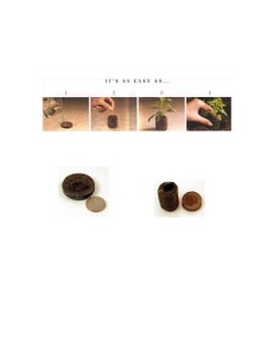 Jiffy (200pellets) - Jiffy 7 Peat Pellets - Large 42 MM - 200 Pellets - Seed Starter Soil Plugs  - Image 3