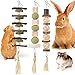 Bissap 3PCS Bunny Chew Toys Natural Hanging Rabbit Chew Toy Treats for Guinea Pigs Hamsters Gerbils Chinchilla and Other Small Pets for Teeth Grinding - Image 3