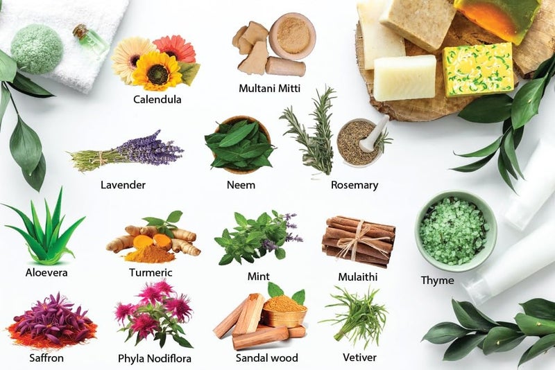 REFRESH صابون فيفاه الطبيعي لتفتيح البشرة | مع 23 مكونًا عشبيًا | صابون مرطب ومفتح للبشرة | بشرة مشعة ومغذية | 125 جرام (عبوة من 5) - Image 3