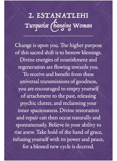 Earth Warriors Oracle - Pocket Purpose Edition: Energise Your Purpose  - Image 5