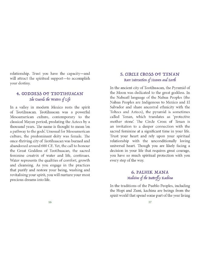 Earth Warriors Oracle - Pocket Purpose Edition: Energise Your Purpose  - Image 1